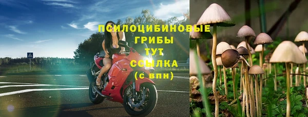 прущая мука Кулебаки