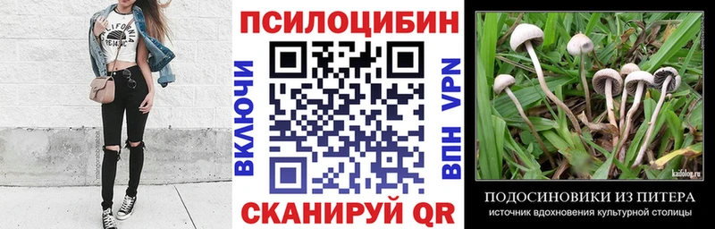 Псилоцибиновые грибы Cubensis дарнет шоп Поронайск